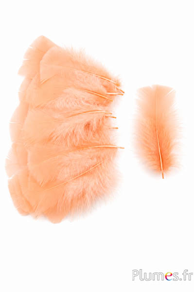 Tacchina - 6-8 cm - salmone